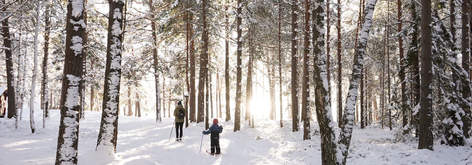 Familjens uteguide till Stockholm