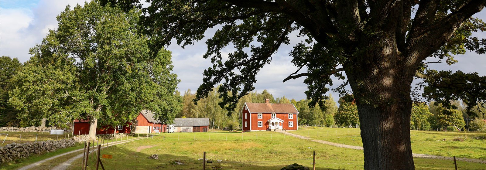 Vandra i Södra Småland