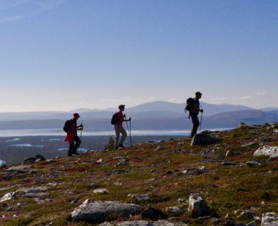 Fjällvandring i Härjedalen – 3 tips