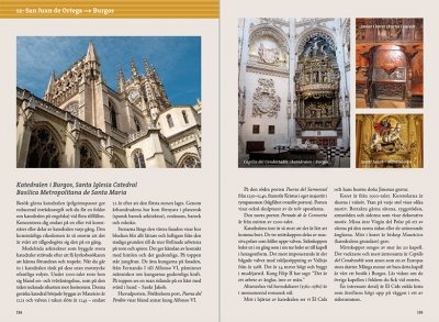 Pilgrimsvandra till Santiago de Compostela