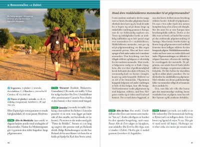 Pilgrimsvandring til Santiago de Compostela