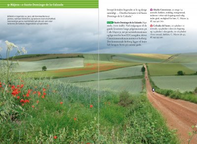 Pilgrimsvandring til Santiago de Compostela