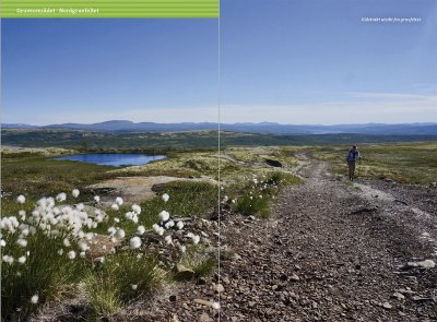 Turguide Røros: miniguide & turkart 1:50 000