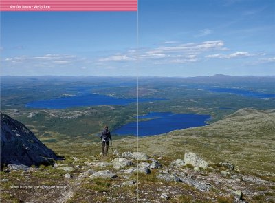 Turguide Røros: miniguide & turkart 1:50 000