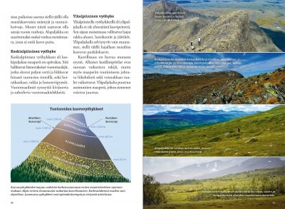 Vaeltajan tunturikasvio