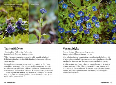 Vaeltajan tunturikasvio