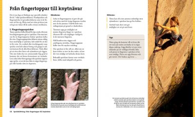 Avancerad klättring och repteknik