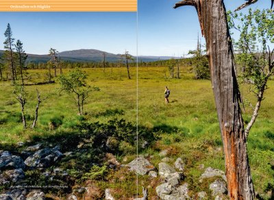 Fjällvandra kring Grövelsjön