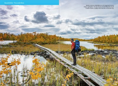 Fjällvandra längs Kungsleden