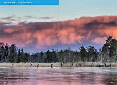 Skrinnarens guide till sjöarna i Östra Svealand