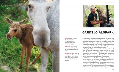 Underbara utflykter runt Uppsala