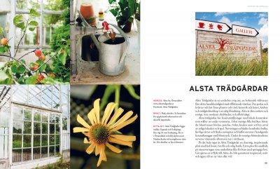 Underbara utflykter runt Uppsala