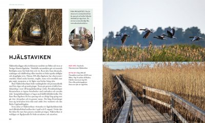 Underbara utflykter runt Uppsala