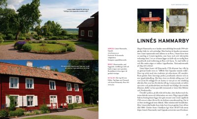 Underbara utflykter runt Uppsala