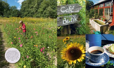 Underbara utflykter runt Uppsala